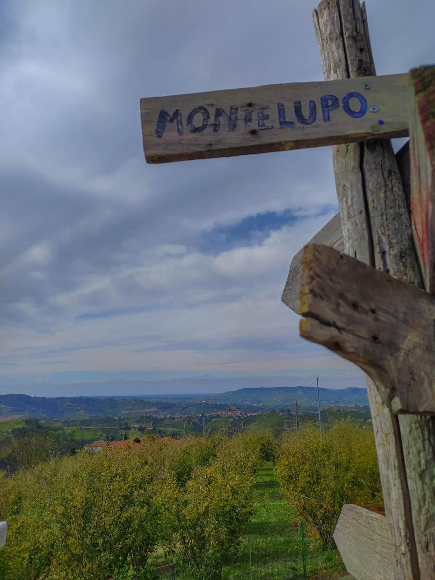 Frühstückspension B&B La Buonora Sinio
